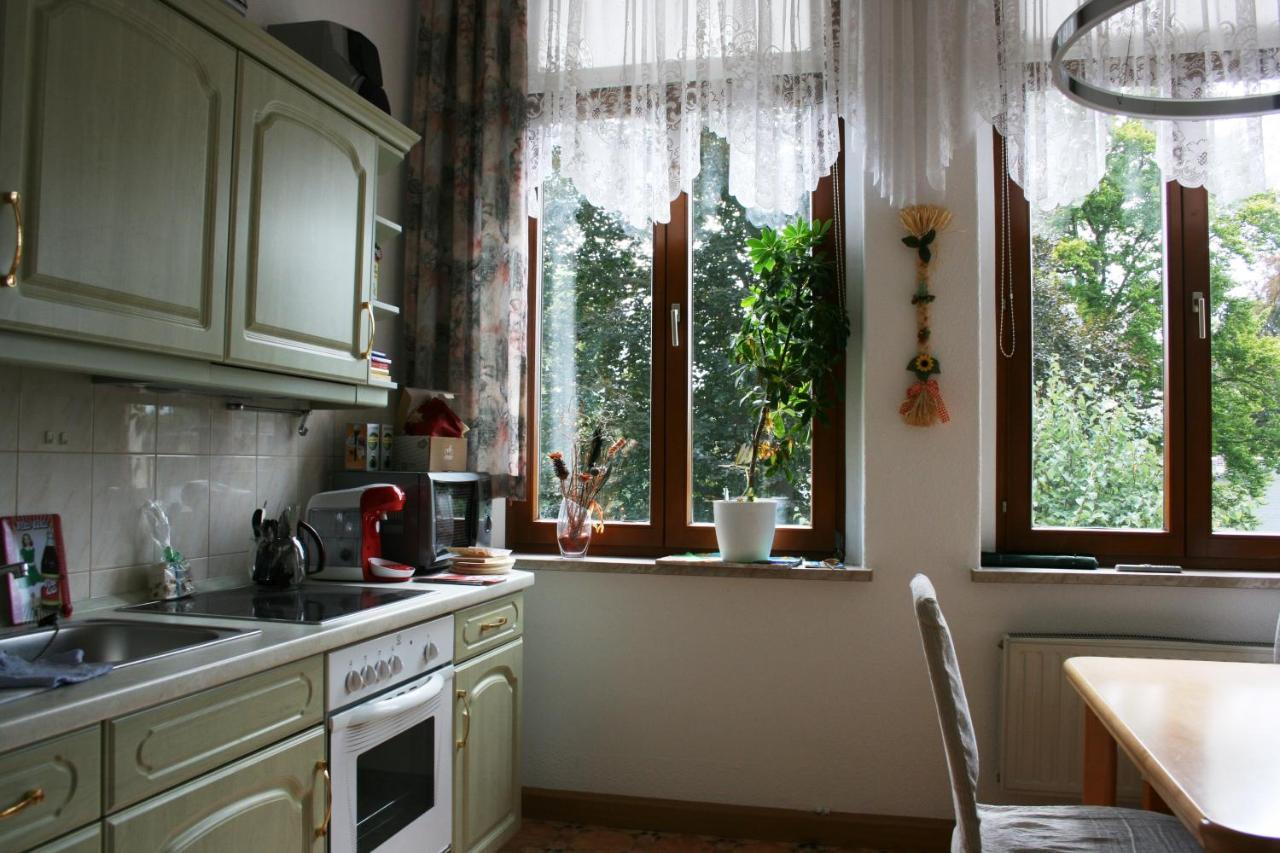 Villa Goeltzschtalblick Netzschkau 外观 照片