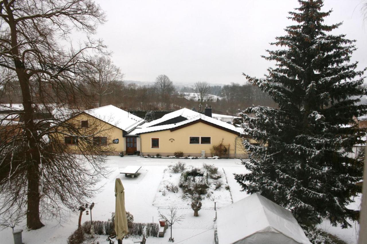 Villa Goeltzschtalblick Netzschkau 外观 照片